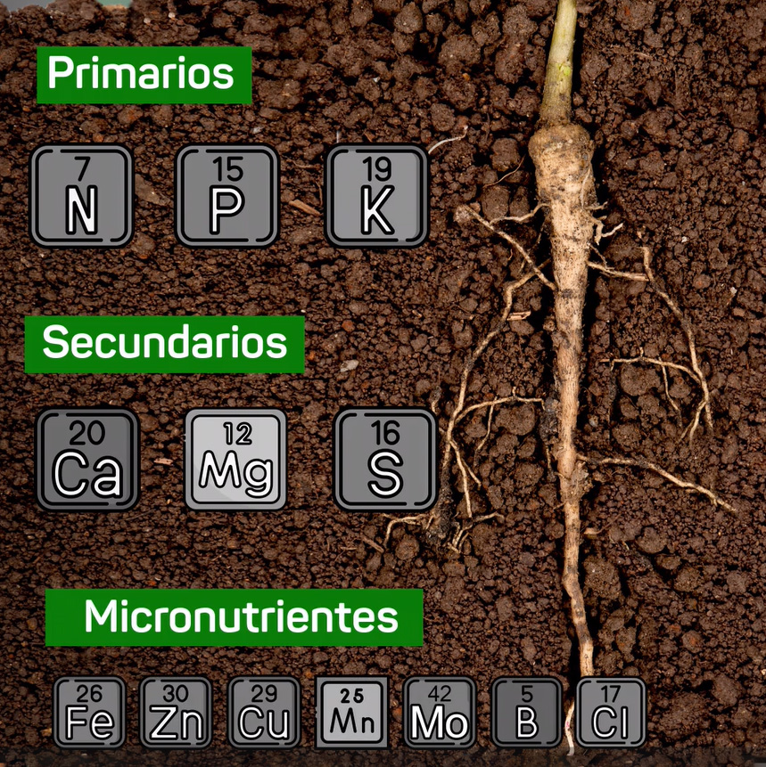 Nutrientes esenciales en agricultura