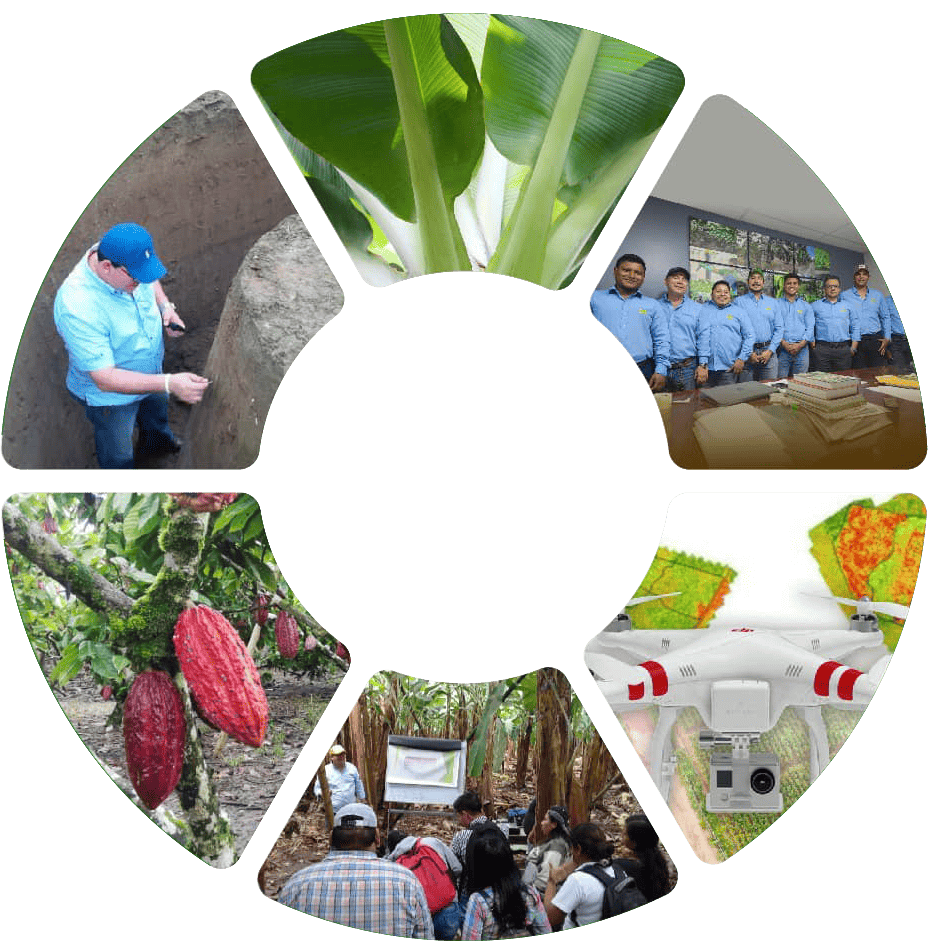 Agro ecuaroriano
